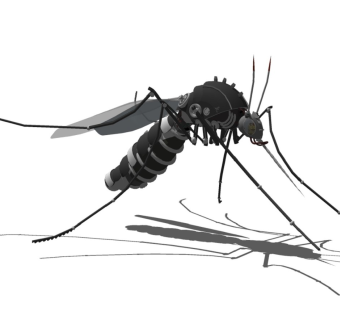 精品动物模型 蚊子